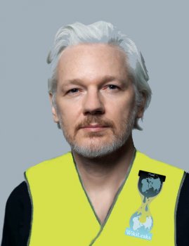 Assange call